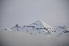 DSC 4310