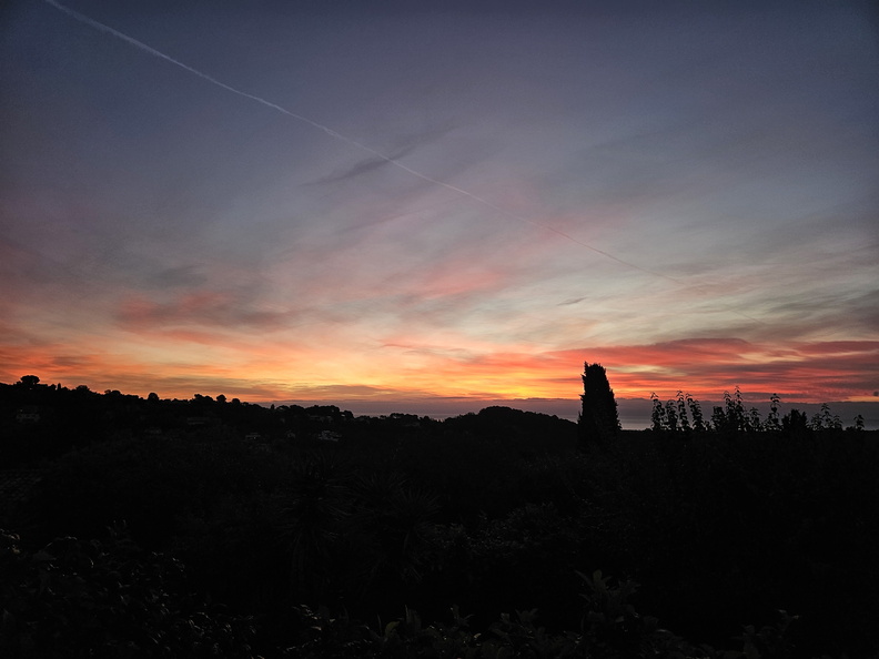 Biot