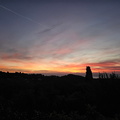 Biot