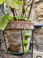 Mougins