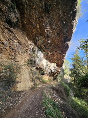 GR51