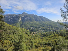 Le Loup
