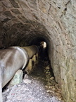 Canal du Loup