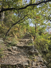 Chemin du Paradis