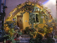 Biot