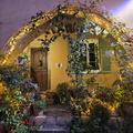 Biot