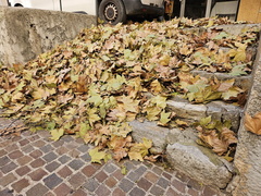 Fayence