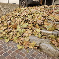 Fayence