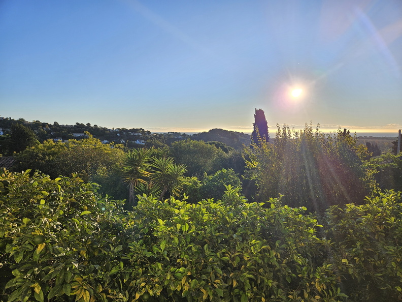 Biot