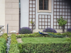 Wallenstein gardens