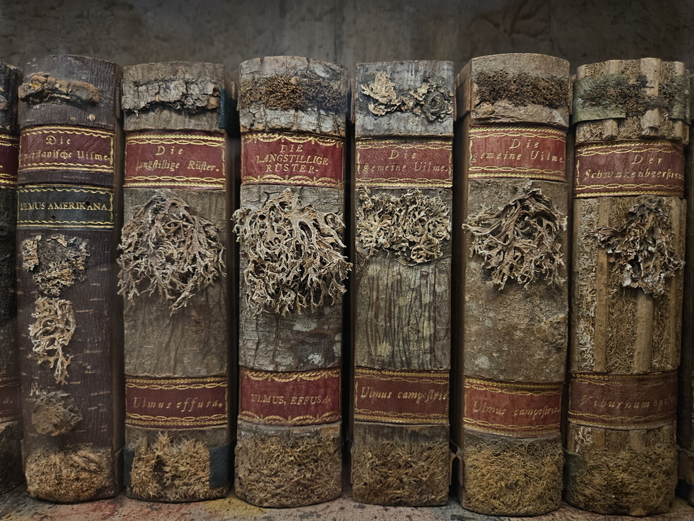 Strahov library