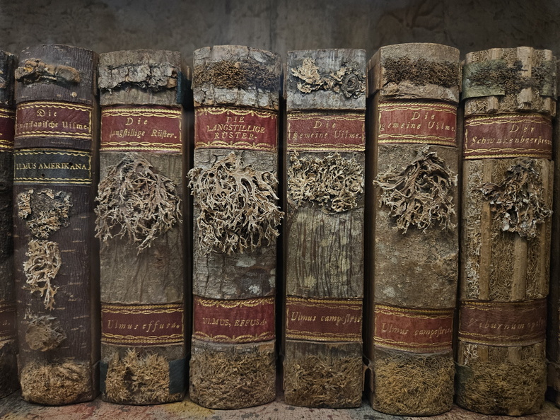 Strahov library