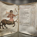 Strahov library