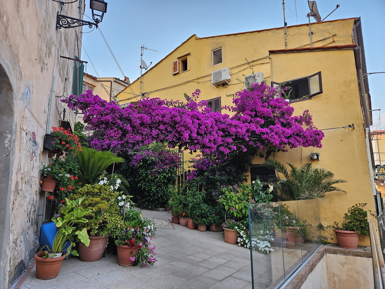 Capoliveri