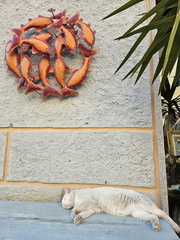 Portoferraio